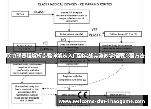 欧协联赛程解析步骤详解从入门到实战完整教学指南流程方法